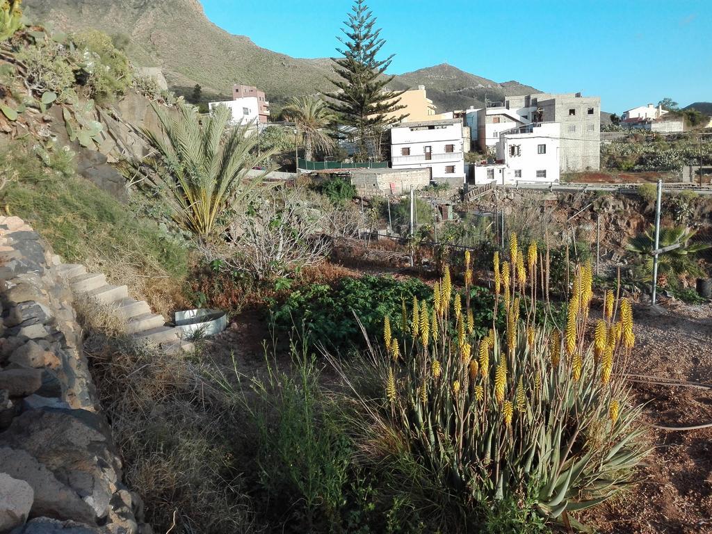 Finca Patio Canario Arona  Bagian luar foto