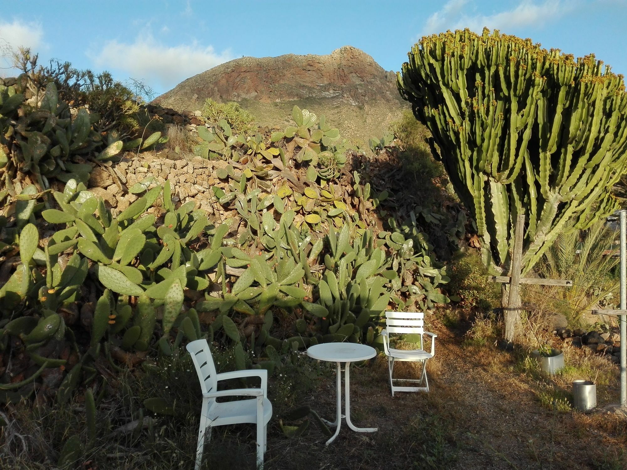 Finca Patio Canario Arona  Bagian luar foto